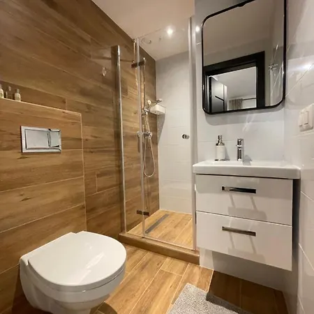 아파트 Srebrny Apartament *
